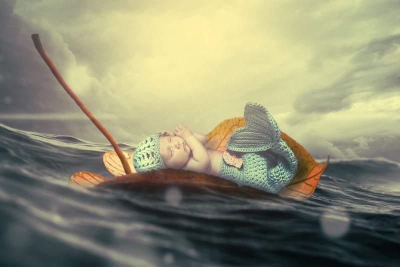 Mermaid's Delight